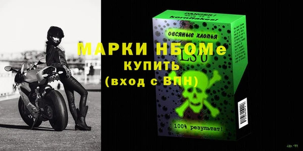 ПСИЛОЦИБИНОВЫЕ ГРИБЫ Новозыбков