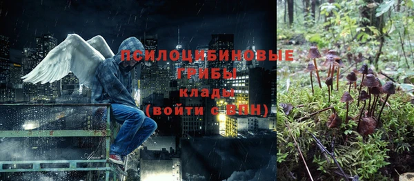 наркотики Новодвинск