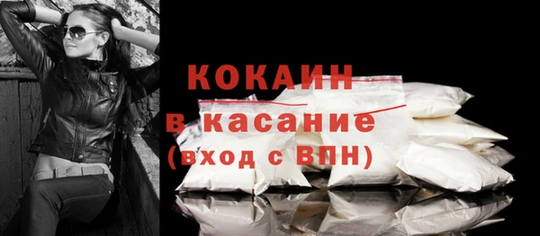 ПСИЛОЦИБИНОВЫЕ ГРИБЫ Новозыбков